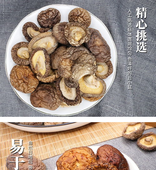 泰顺特产·丑小菇 山间珍馐，菇香四溢的干蘑菇故事
