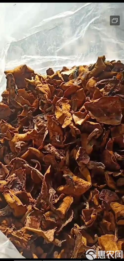 松蘑干大量现货求买家，天然山珍干蘑菇等你来选购